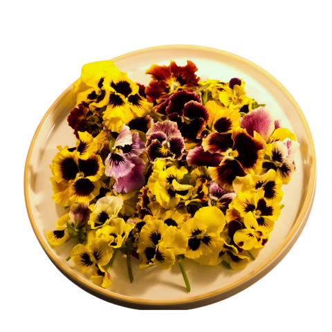 Fresh Pansy  -  Mix Edible Flowers - Japanese Sunrise
