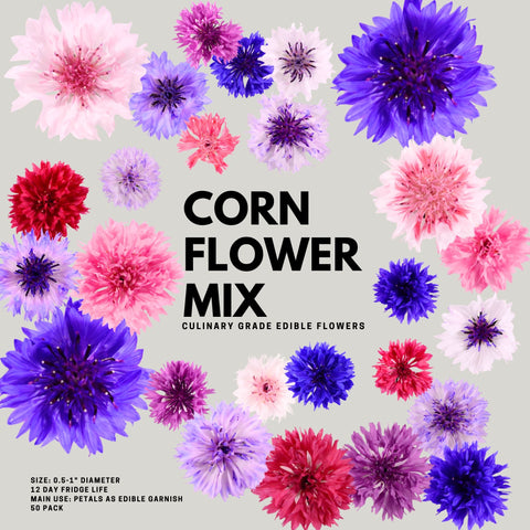 Corn Flowers - 50 Mix Fresh Edible Flowers - Heirloom Acres NOTL