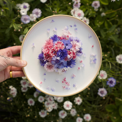 Corn Flowers - Mix Fresh Edible Flowers - Edibleflower.ca by Heirloom Acres NOTL