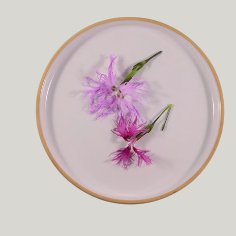 Fresh Dianthus 20 flower - Heirloom Acres NOTL