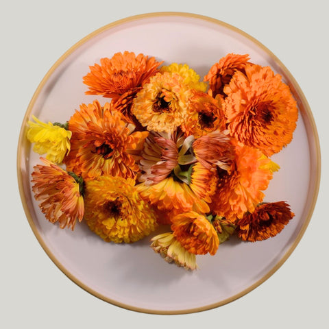 Fresh Edible Calendula - 20 flower - Heirloom Acres NOTL