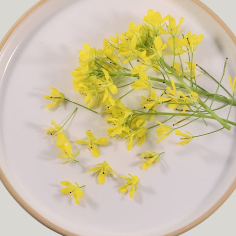 Fresh Mizuna Flowers 20 florets - Heirloom Acres NOTL