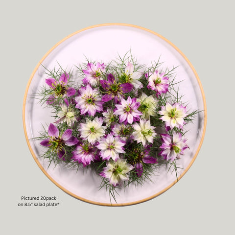 Nigella Red Shades - 20 edible flowers - Heirloom Acres NOTL